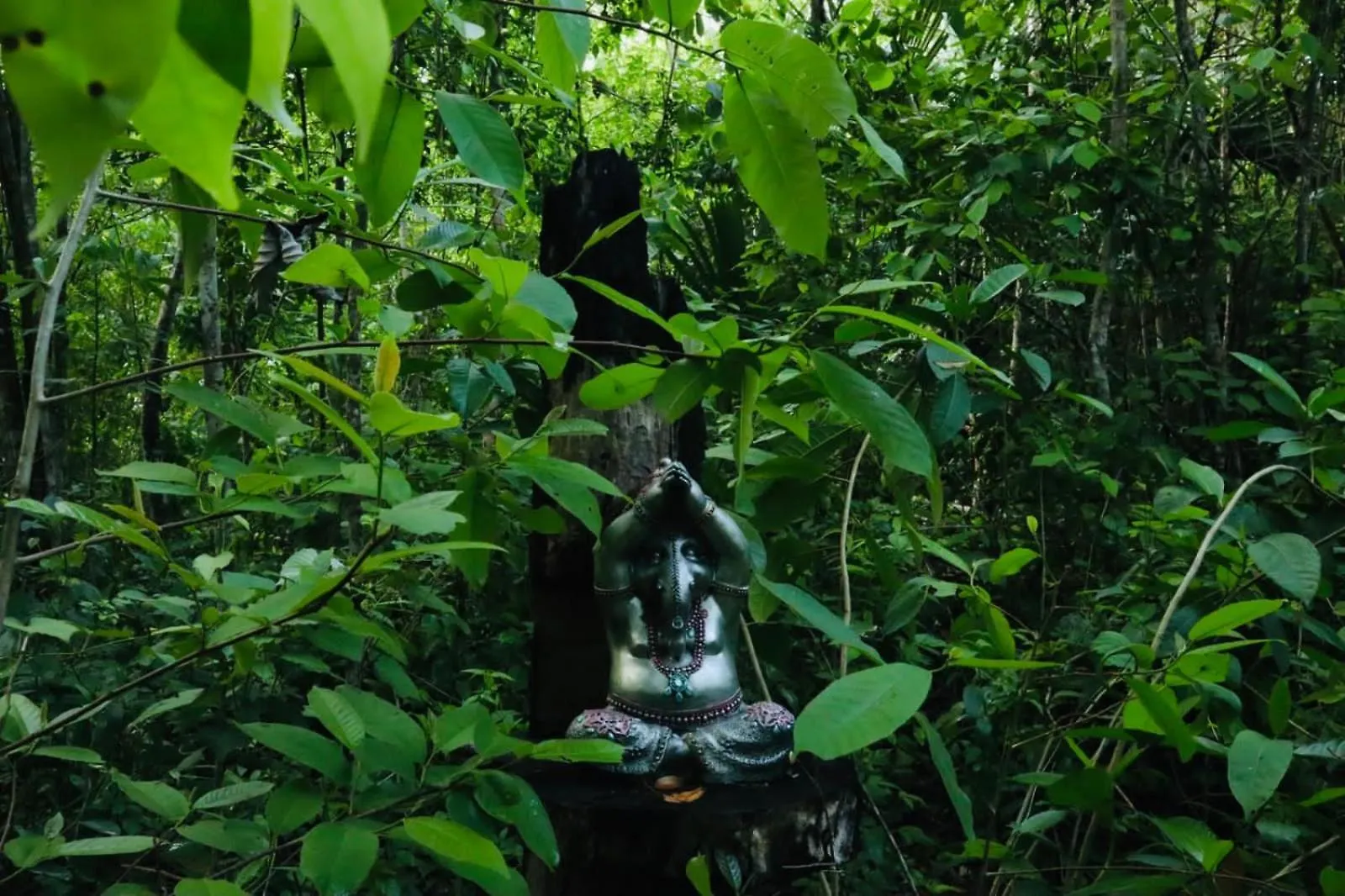 Campsite Shambala Camping & Wellness Puerto Morelos Mexico