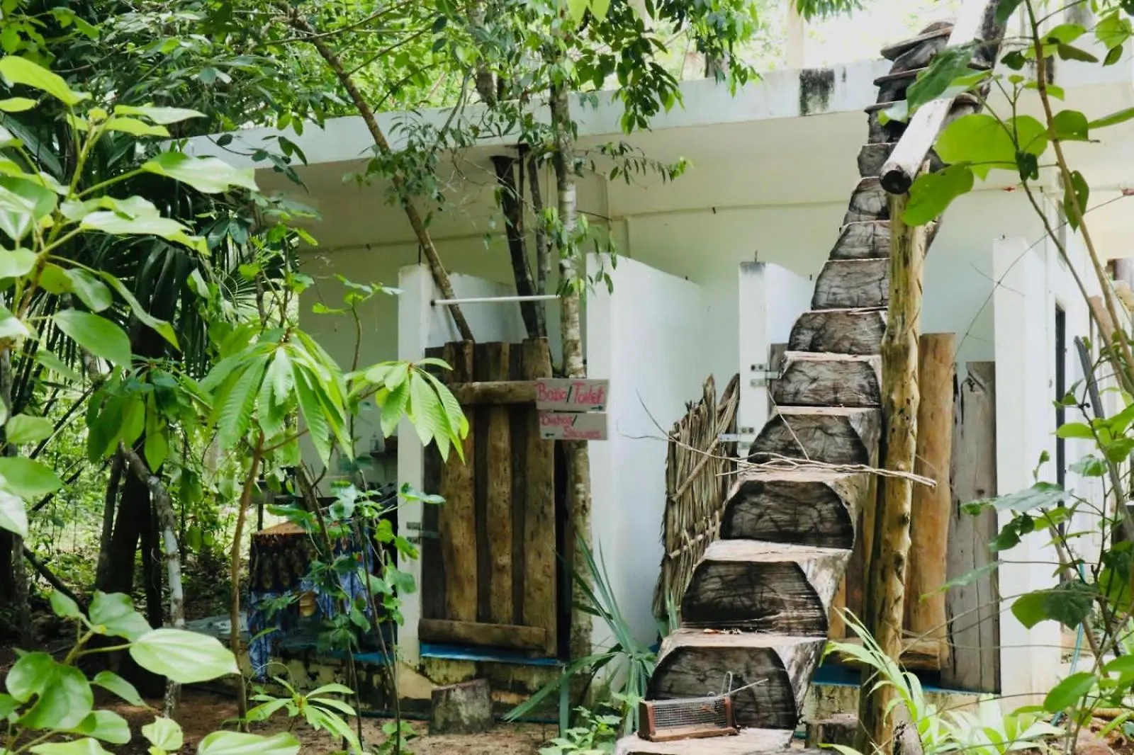 Shambala Camping & Wellness Puerto Morelos