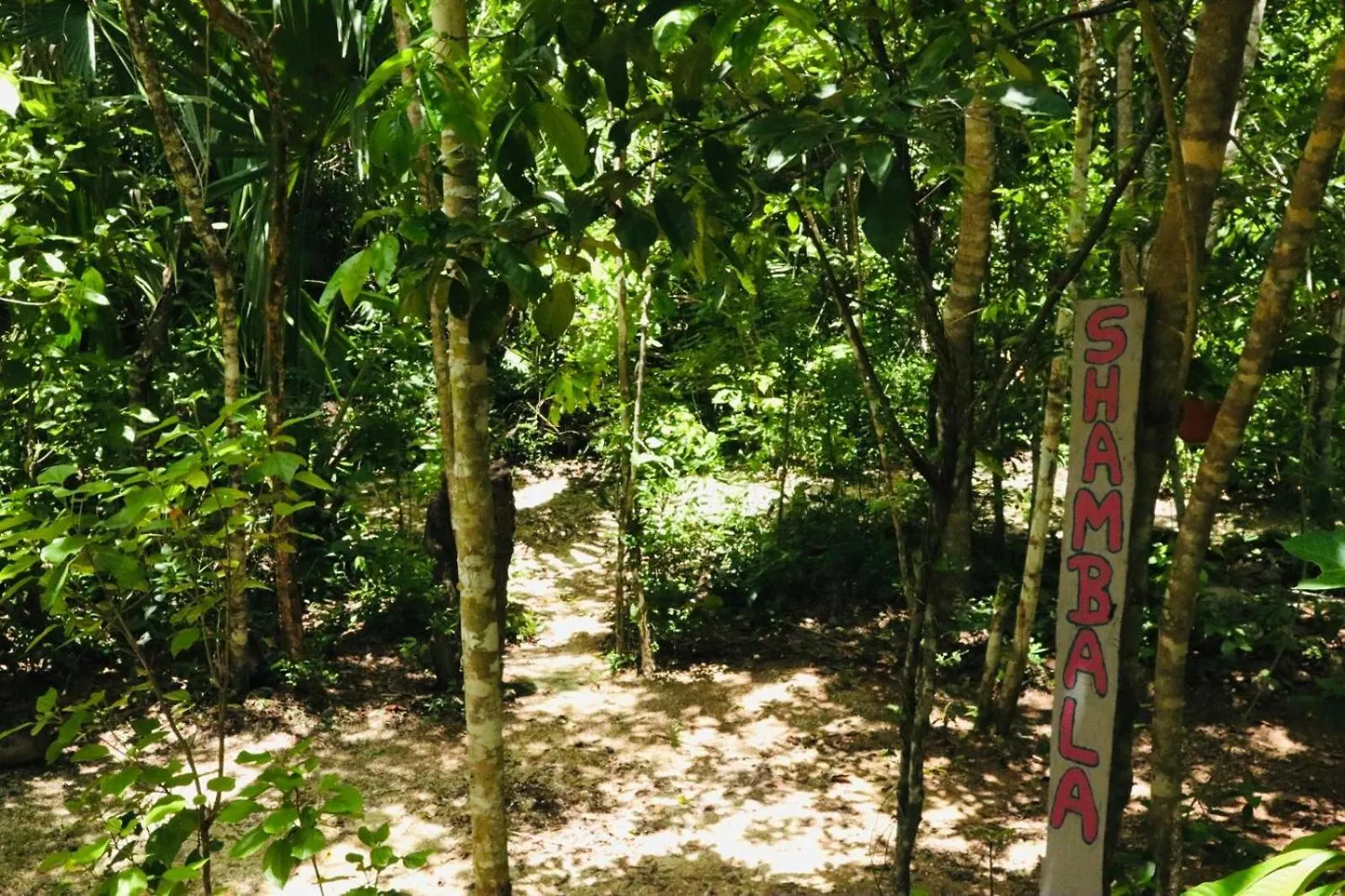 Campsite Shambala Camping & Wellness Puerto Morelos